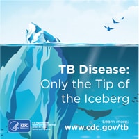 TB-infographics-Square-Iceberg