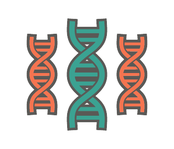 Image of 3 Genes