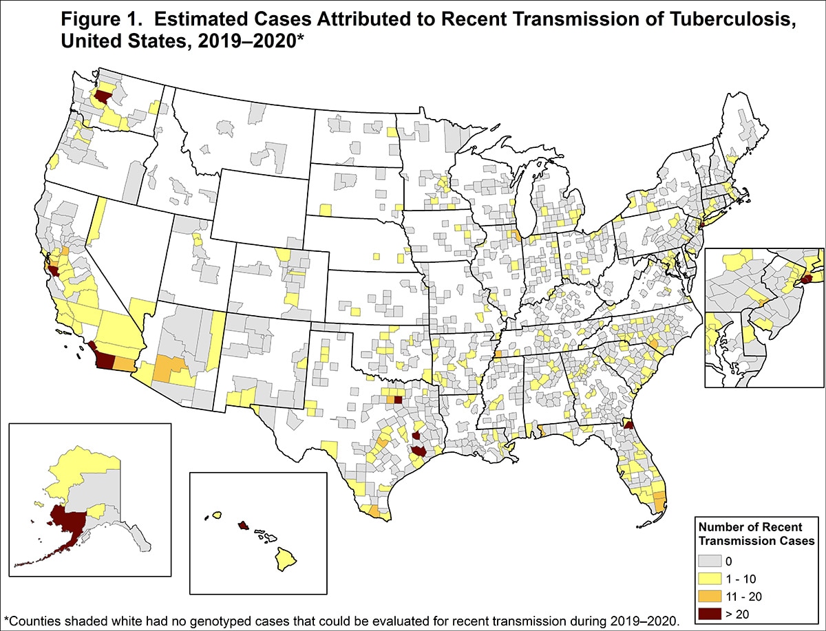 Estimated cases attributed to recent transmission of tuberculosis, United States, 2019-2020