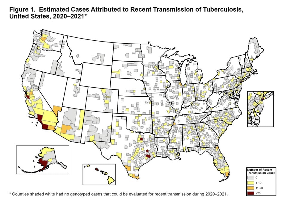 Figure 1. Estimated Cases Attributed to Recent Transmission of Tuberculosis, United States, 2020-2021