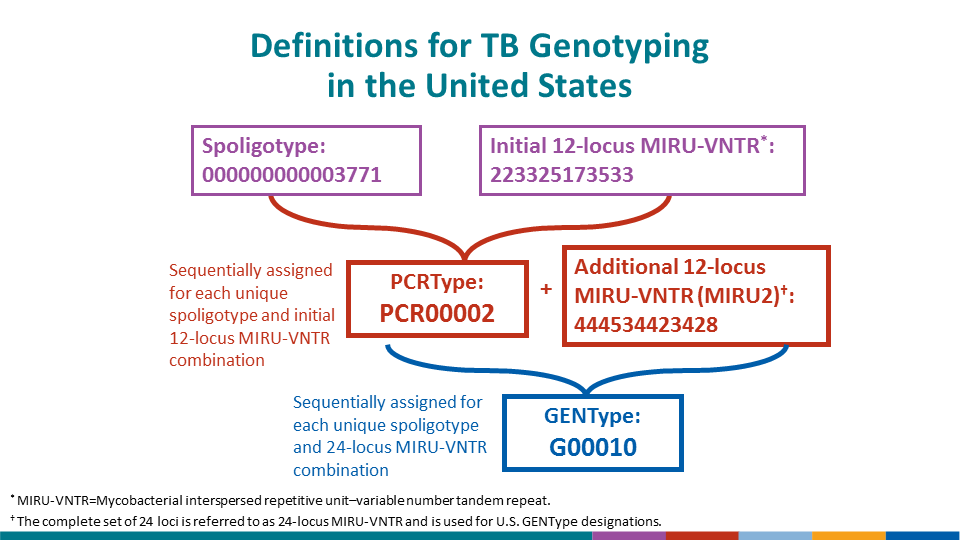 This slide shows the increase in genotyping surveillance coverage from 2004 to 2019. In 2004 the proportion of culture confirmed TB cases with at least one genotyped isolate was 52.6%; in 2019 it was 97.0%. The national goal for genotyping surveillance coverage is 100.0%.
