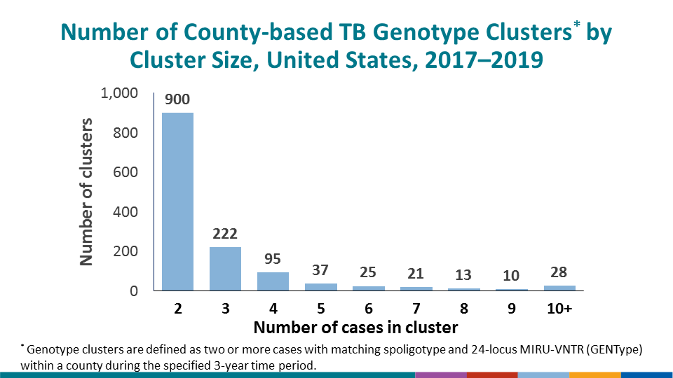 This slide shows the number of county-based TB genotype clusters by the size of the clusters; a genotype cluster is defined as two or more cases with matching spoligotype and 24-locus MIRU-VNTR (GENType) within a county during the specified 3-year time period. During 2017–2019, there were 900 two-case clusters, 222 three-case clusters, 95 four-case clusters, 37 five-case clusters, 25 six-case clusters, 21 seven-case clusters, 13 eight-case clusters, 10 nine-case clusters, and 28 case clusters that were greater or equal to 10 TB cases in size.