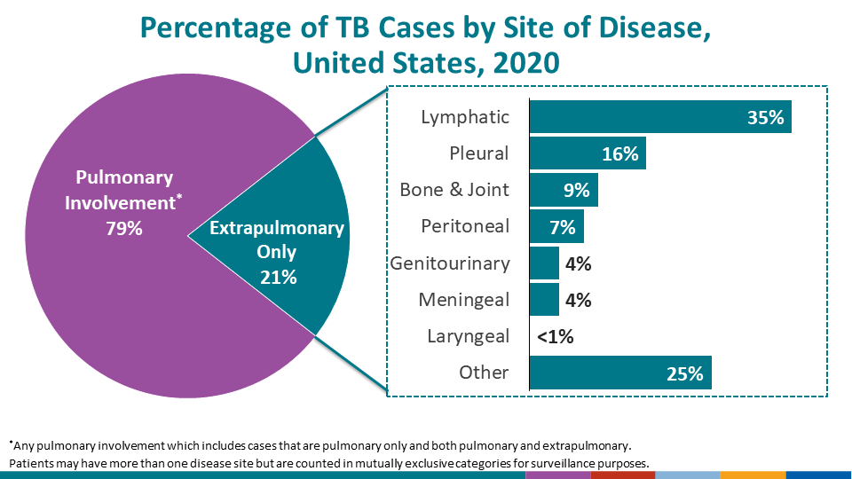 Percentage of TB Cases by Site of Disease, United States, 2020