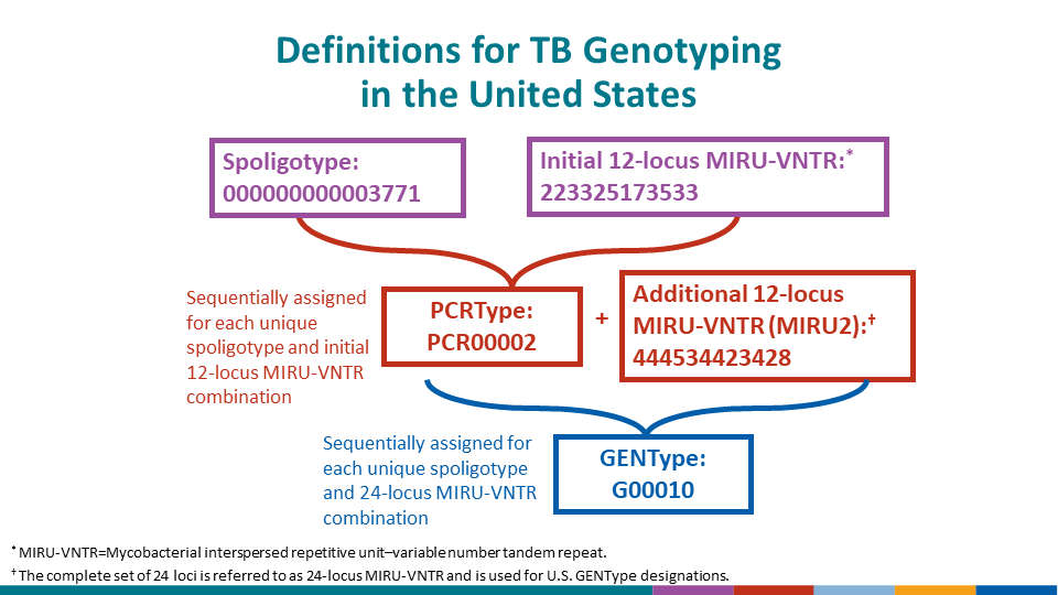Definitions for TB Genotypingin the United States * MIRU-VNTR=Mycobacterial interspersed repetitive unit–variable number tandem repeat. † The complete set of 24 loci is referred to as 24-locus MIRU-VNTR and is used for U.S. GENType designations.