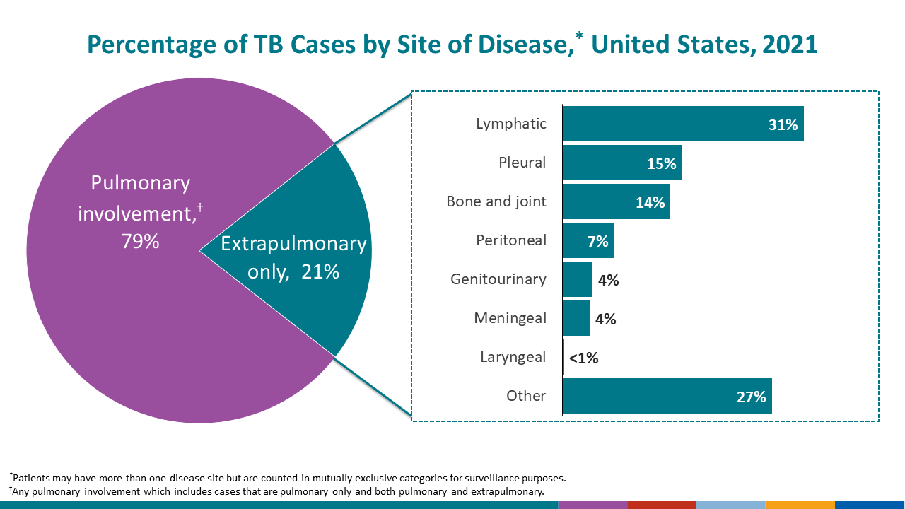 The vast majority of TB cases had pulmonary involvement (78.8%).