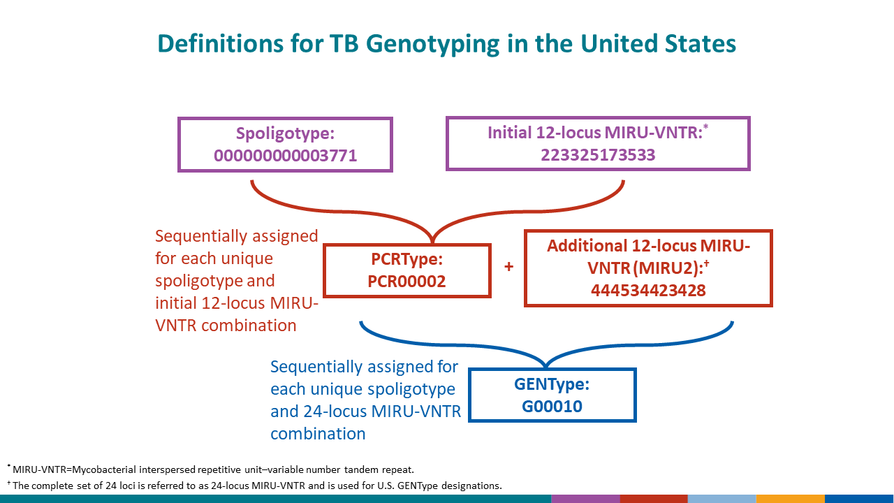 Definitions for TB Genotyping in the United States