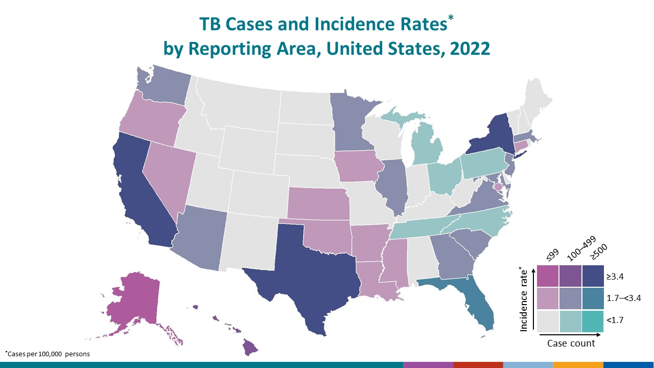 This map shows each state shaded based on two scales, one representing TB case counts and one representing incidence rates.