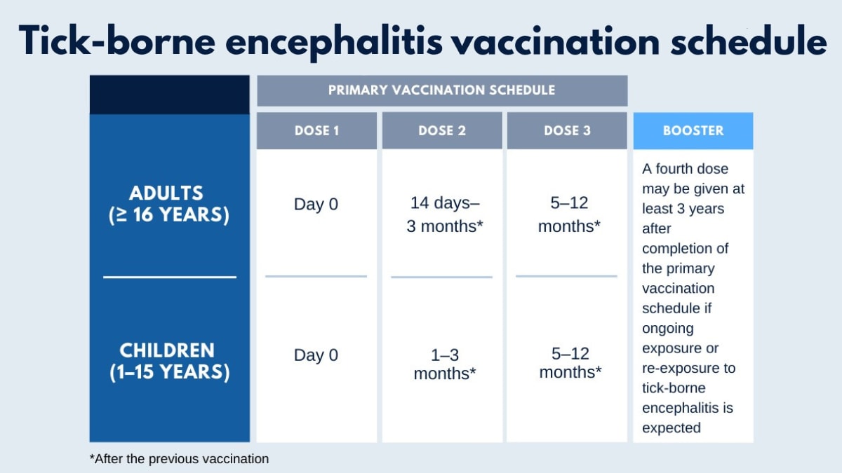 Graphic showing timing of TBE vaccine doses