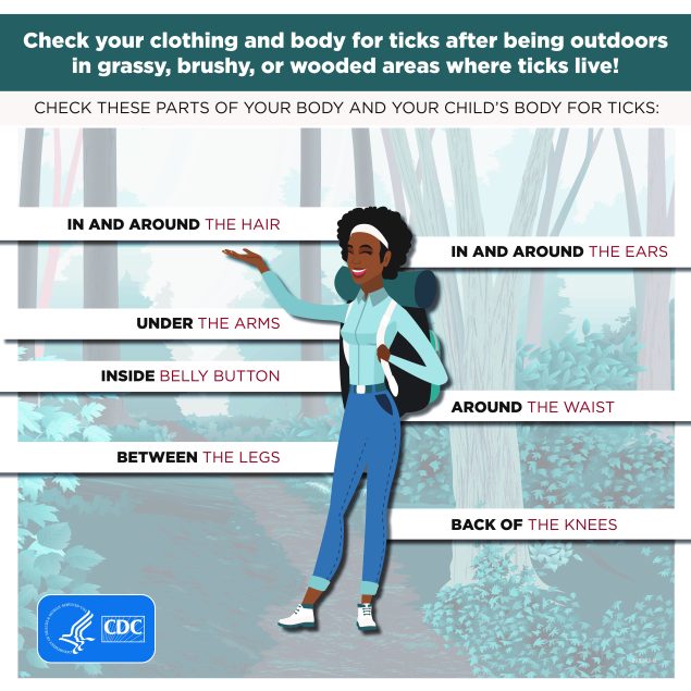Graphic of a woman showing where on the body to check for ticks: in and around hair, in and around ears, under the arms, inside the belly button, around the waist, between the legs, back of the knees.