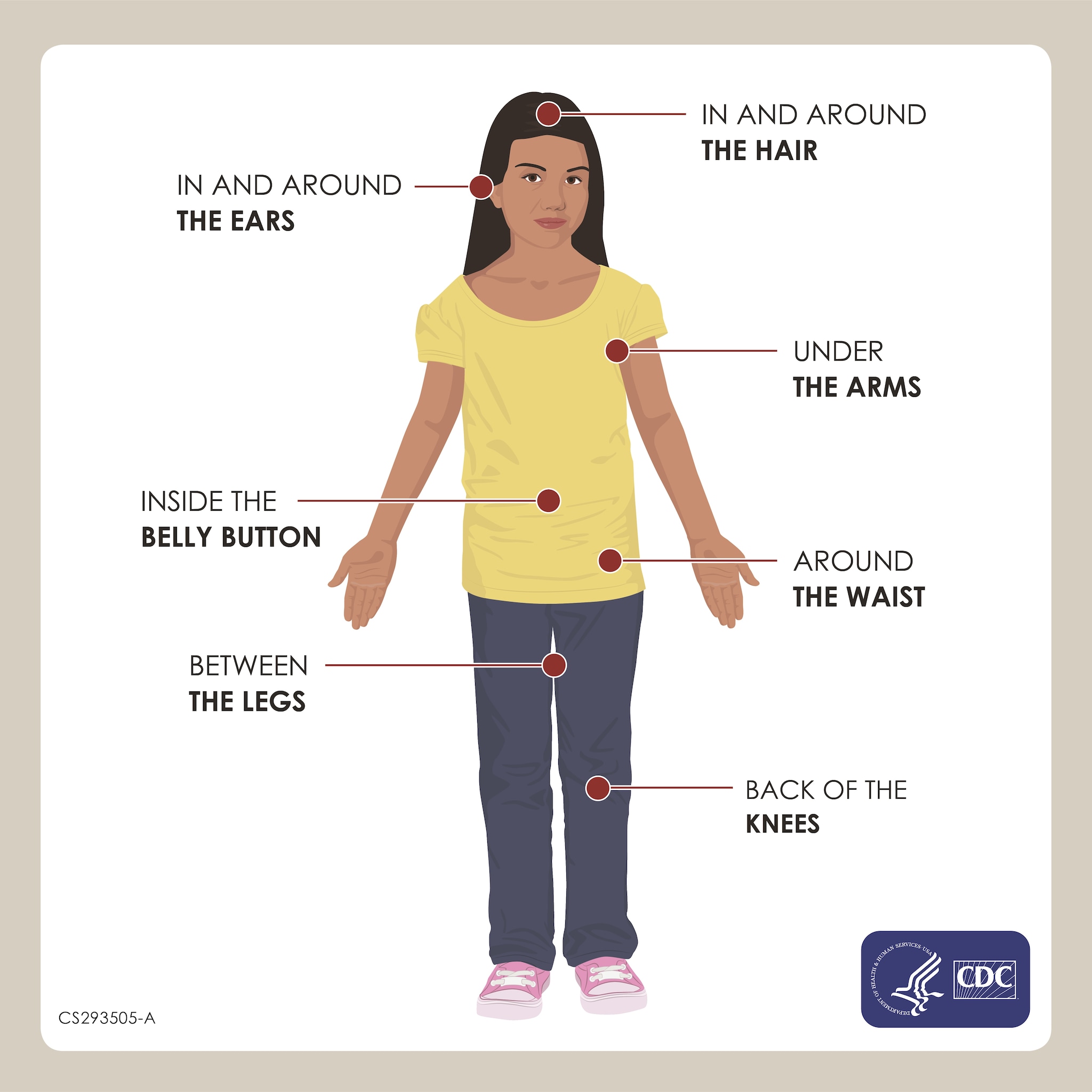 Diagram of a girl illustrating where on the body to look for ticks.