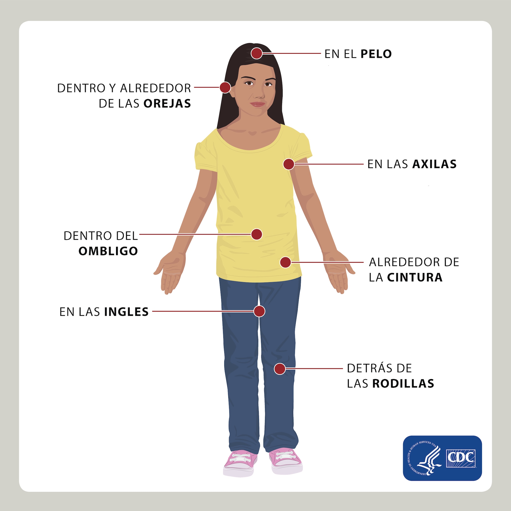 Diagram of a girl illustrating where on the body to look for ticks, in Spanish.