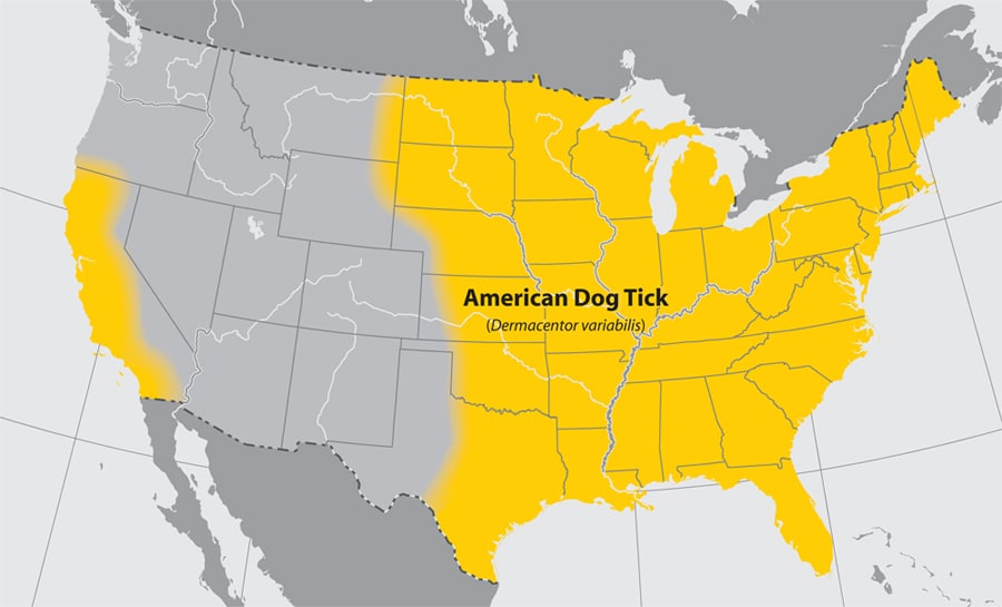 Approximate distribution of the American dog tick in the United States of America