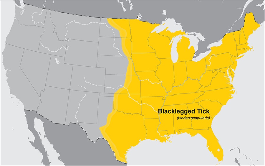 Approximate distribution of the Blacklegged tick in the United States of America.  The map shows that the blacklegged tick is widely distributed across the entire eastern half of the United States