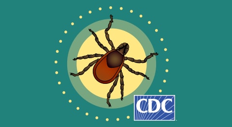 Clipart image of a tick and the CDC logo