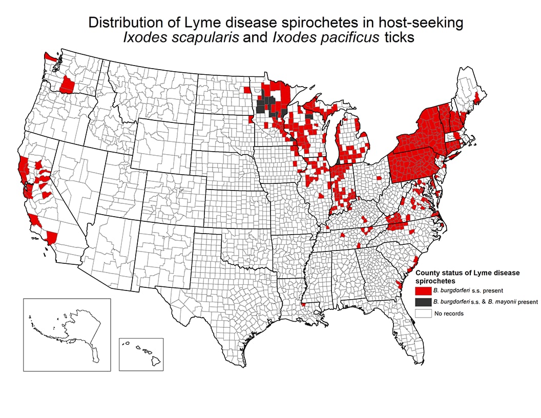 Map of the US showing distribution of counties where Lyme disease have been identified. Cases are concentrated in the Northeast and California and Washington state.