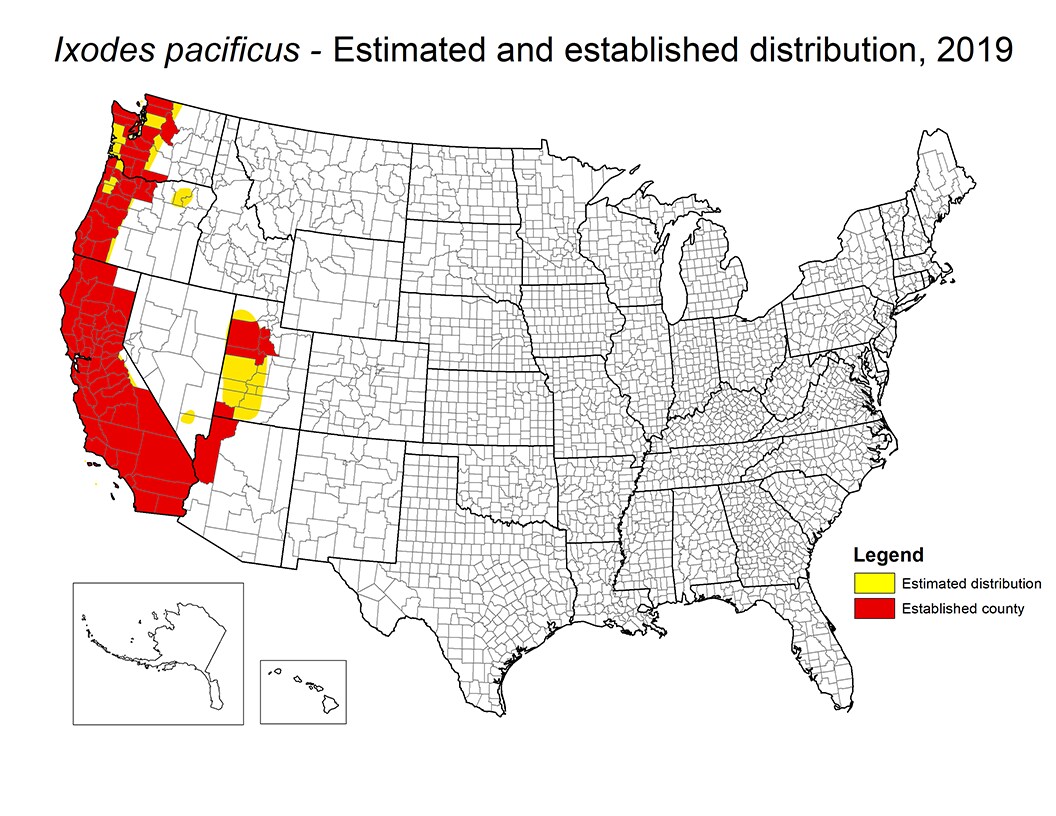 Map of U.S. showing distribution areas where the western blacklegged tick could survive and reproduce for 2019. See spreadsheet below for data.
