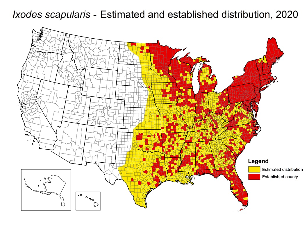 Map of U.S. showing distribution areas where the blacklegged tick could survive and reproduce for 2020. See spreadsheet below for data.