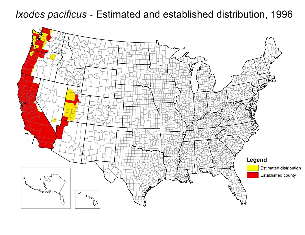 Map of U.S. showing distribution areas where the western blacklegged tick could survive and reproduce for 1996. See spreadsheet below for data.
