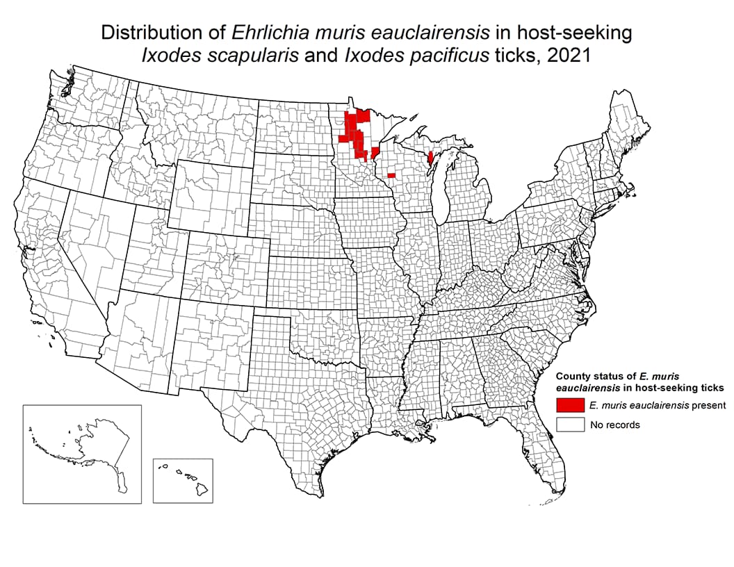 Distribution of Ehrlichia muris eauclairensis in host-seeking Ixodes scapularis and Ixodes pacificus ticks, 2021