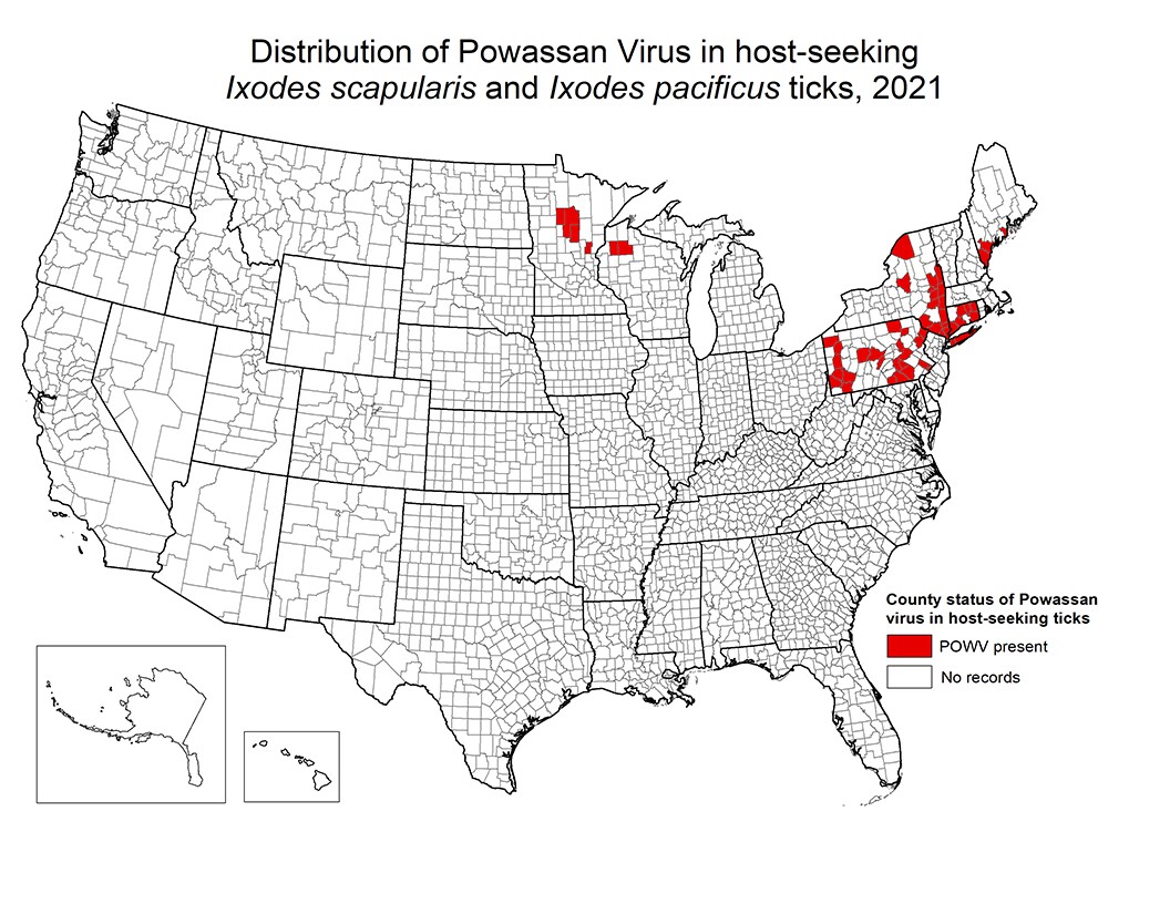 Distribution of Powassan Virus in host-seeking Ixodes scapularis and Ixodes pacificus ticks, 2021