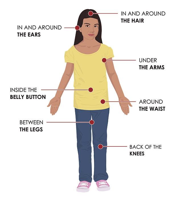 Check in and around the hair and in and around the ears. Check under the arms. Check inside the belly button and around the waist. Check between the legs and the back of the knees.