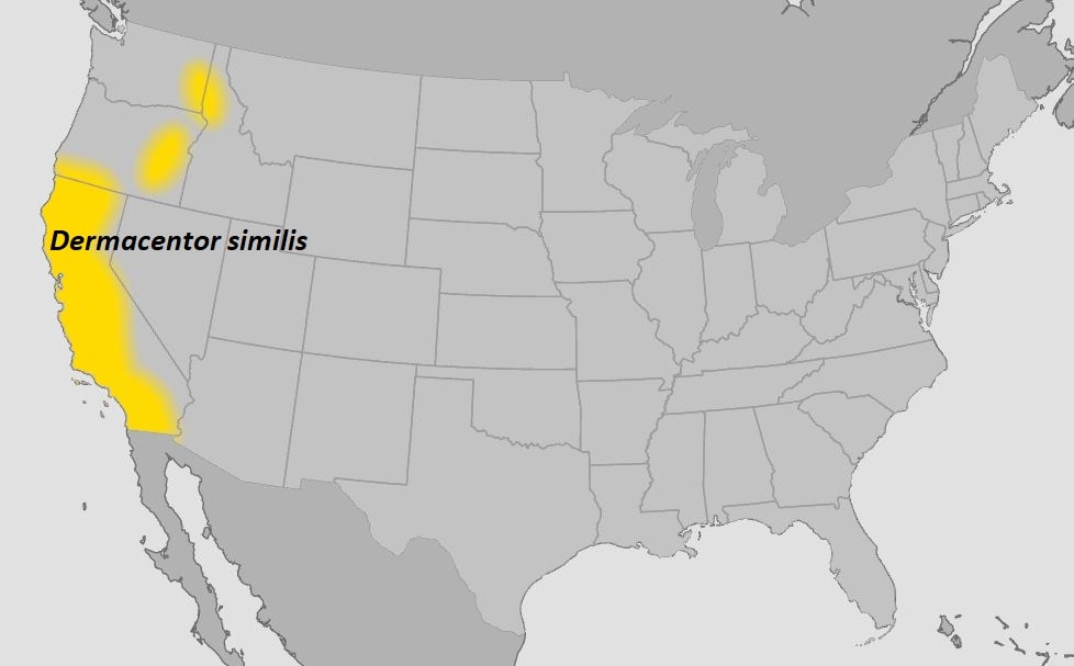 Approximate distribution of D. similis in the United States.