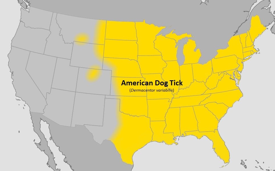 Map of the United States showing where in the US the American Dog Tick is located. The entire eastern half of the country is highlighted.