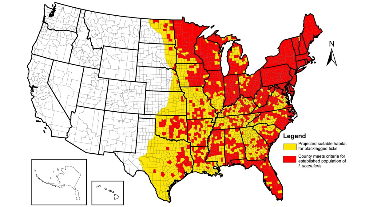 frontiers | geographical distribution and pathogenesis... Blacklegged Tick Surveillance | Ticks | CDC