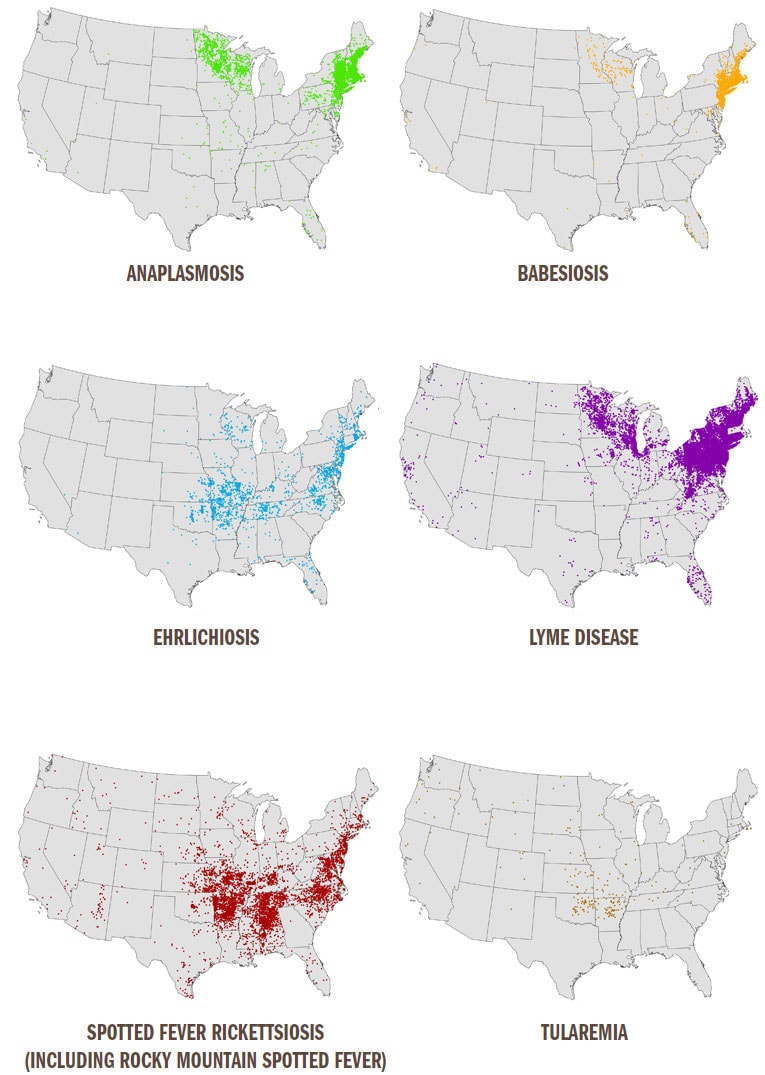 Six maps of the United States showing where cases have been reported of Anaplasmosis, Babesiosis, Ehrlichiosis, Lyme Disease, Spotted Fever Rickettsiosis, and Tularemia. Cases of Anaplasmosis, Babesiosis, and Lyme Disease are concentrated in the North Eastern corner of the U.S., Ehrlichiosis and Spotted Fever Rickettsiosis are concentrated in the Eastern half of the U.S., and Tularemia in the middle part of the U.S.