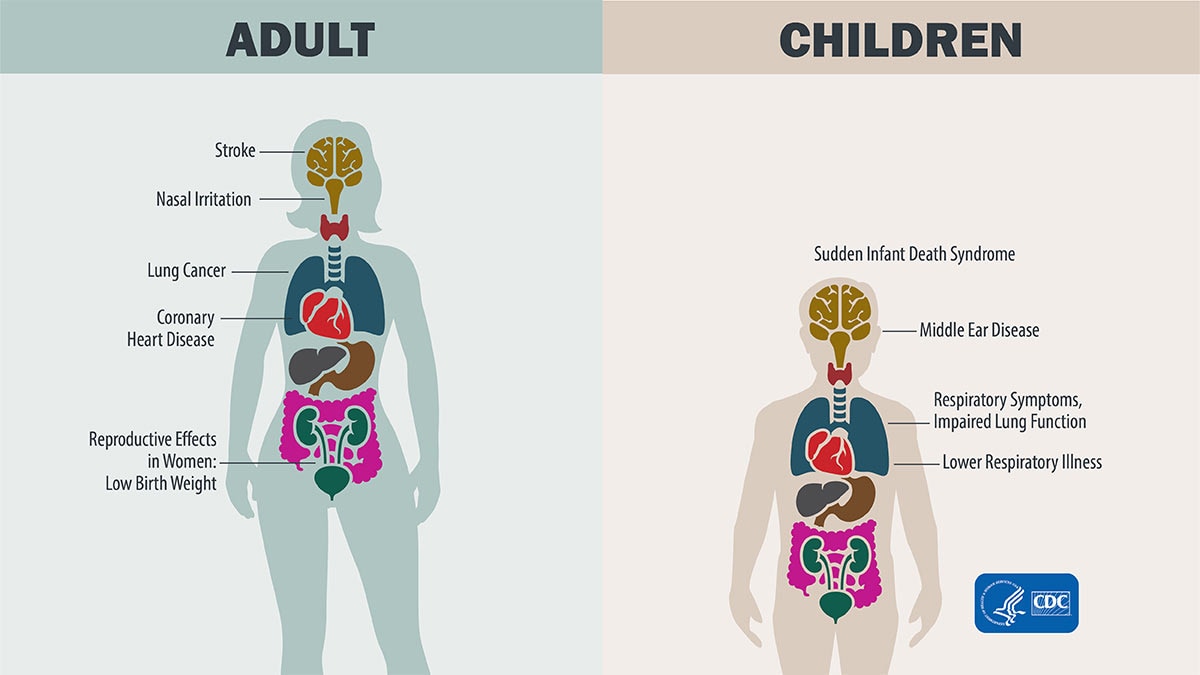 Diagram showing health effects in adult body and child body.