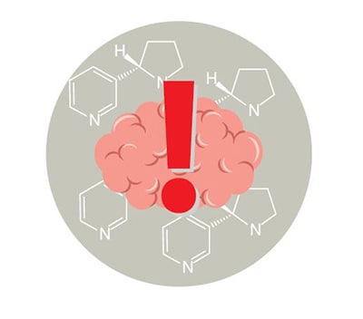 Nicotine can harm the developing adolescent brain.  The brain keeps developing until about age 25.  There is an illustration of a brain with an exclamation point.