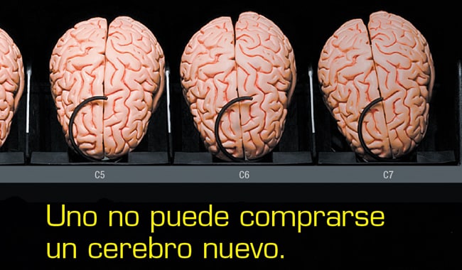 Uno no puede comprarse un cerebro nuevo