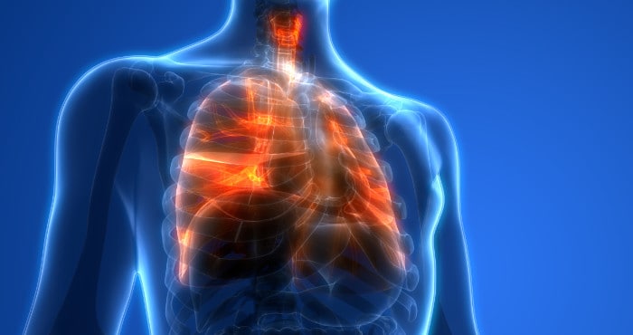 Figura humana translúcida con pulmones resaltados