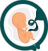 Icon of fetus