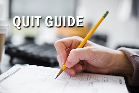 Quit Guide - picture of a hand writing in a calendar.