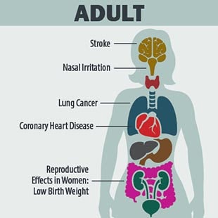 Diagram showing the health problems in adults caused by SHS such as stroke, nasal irritation, and lung cancer.,