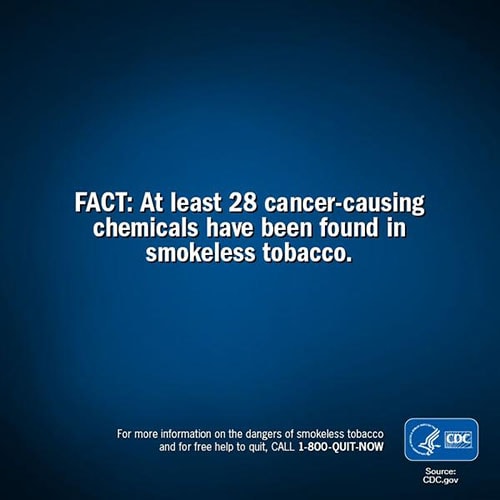 Fact: At least 28 cancer-causing chemicals have been found in smokeless tobacco.