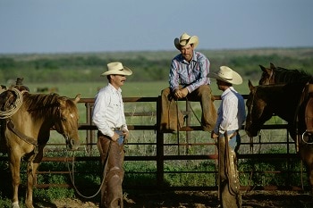 Rural photo of cowboys talking