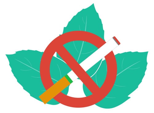 menthol leaf and menthol cigarette with no smoking symbol