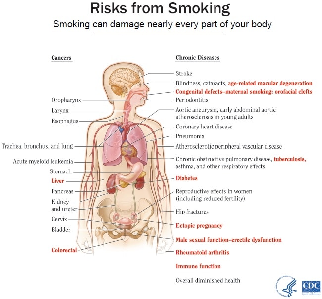 Chart Of Smoking Effects