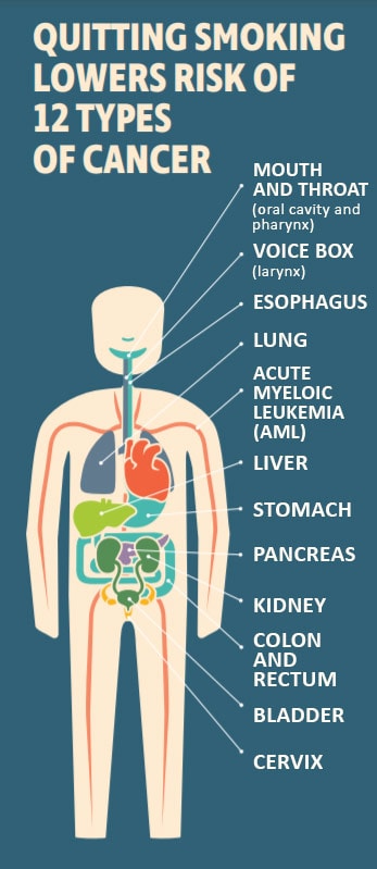 Quitting Smoking Lowers Risk of 12 Types of Cancer - Mouth and Throat (oral cavity and pharynx); Voice Box (larynx); Esophagus; Lung; Acute Myeloic Leukemia (AML); Liver, Stomach, Pancreas; Kidney; Colon and Rectum; Bladder, Cervix