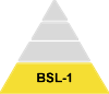 Pyramid showing the four BSLs with the lowest risk microbes highlighted at the bottom, representing BSL-1. Levels 2-4 are grey.