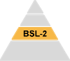 Pyramid showing the four BSLs with BSL-2 highlighted. Levels 1, 3, and 4 are grey.