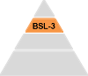 Pyramid showing the four BSLs with BSL-3 highlighted. Levels 1, 2, and 4 are grey.