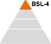 Pyramid showing the four BSLs with the highest risk level, BSL-4, highlighted at the top. Levels 1-3 are grey.