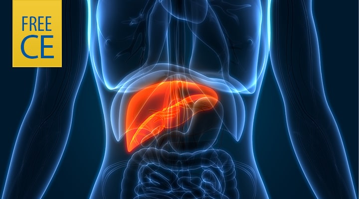 Human anatomy with highlighted liver