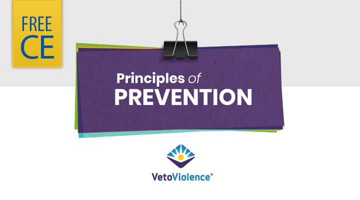 Principles of Prevention. VetoViolence