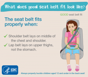 What does good seat belt fit look like? The seat belt fits properly when: shoulder belt lays on the middle of the chest and shoulder, and lap belt lays on upper thighs, not the stomach. Always properly buckle children aged 12 and under in the back seat! HHS CDC