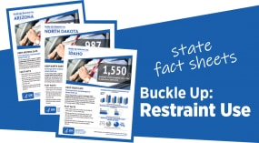Image of the covers of state restraint use fact sheets