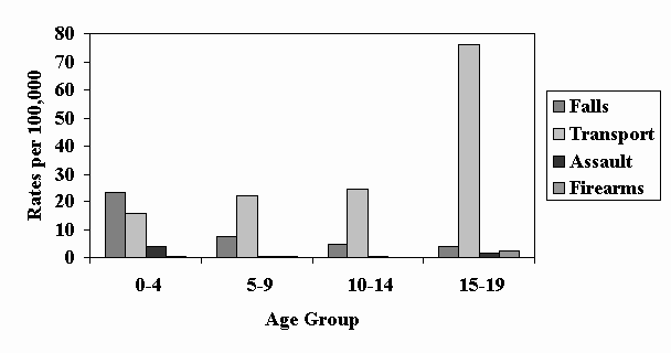 Slide 6 - Figure 4: Rates of TBI in Children and Youth by Age Group and External Cause of Injury, 1997